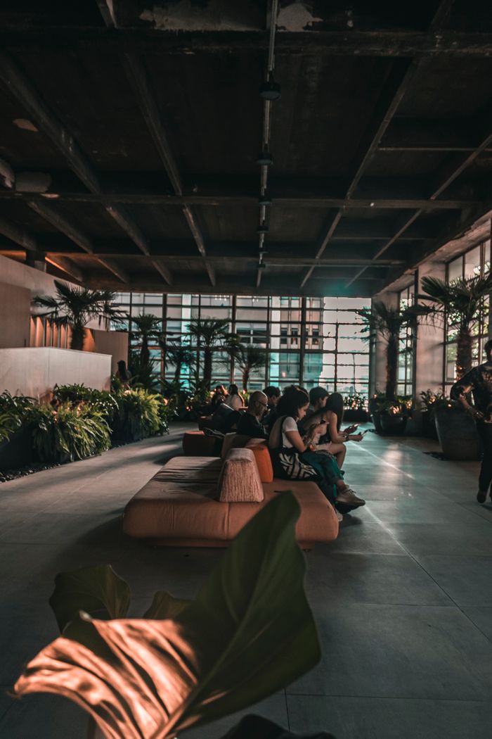 Stylish indoor lounge with people sitting, surrounded by lush greenery in a contemporary setting.